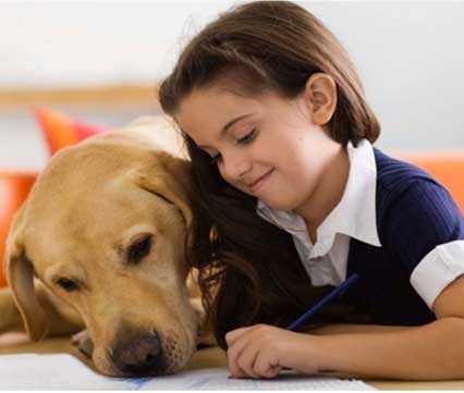 Los perros ayudan a estudiar a los niños