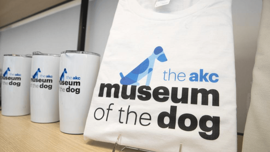 museo del perro clínica veterinaria granada